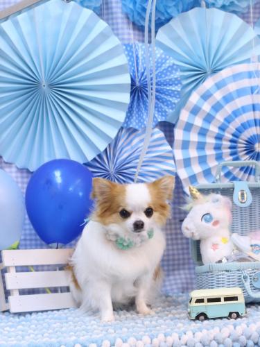 20231129りくくん